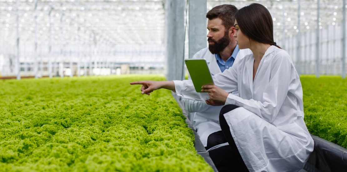 Agriculture