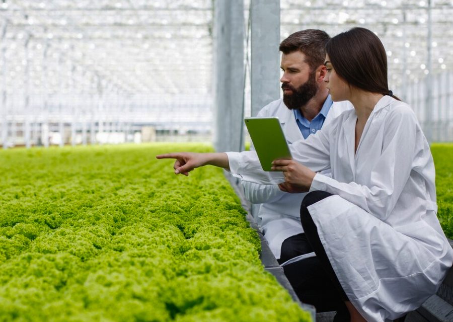 Agriculture