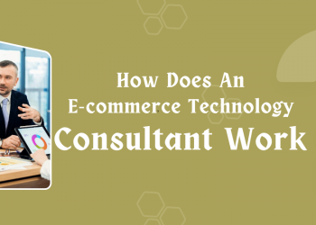 E-commerce Technology Consultant Work