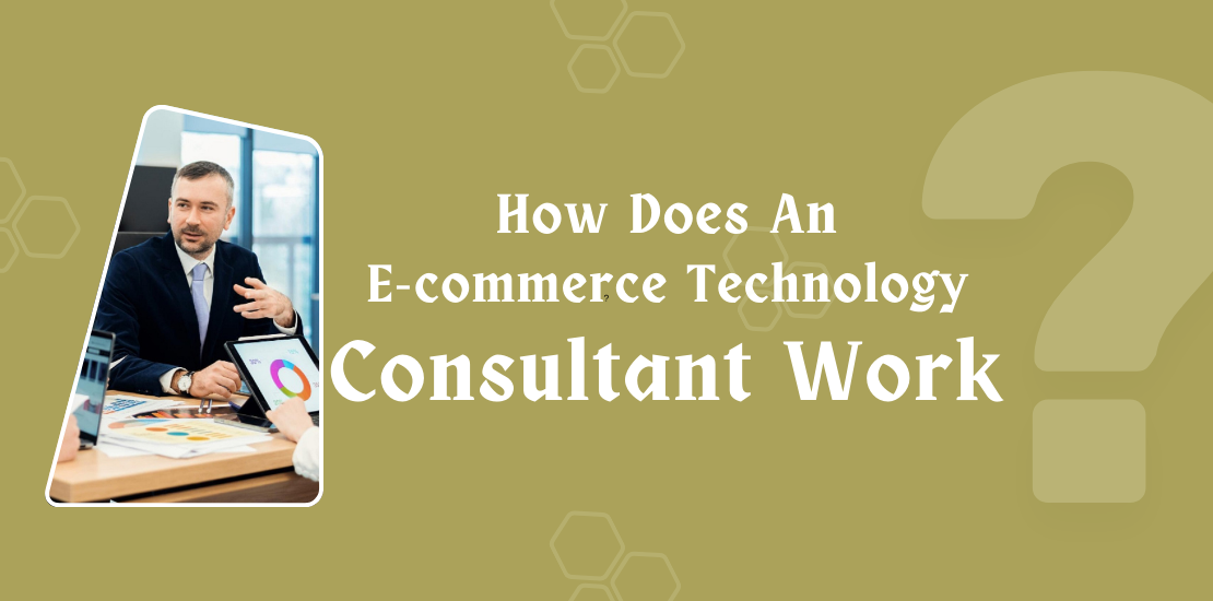 E-commerce Technology Consultant Work