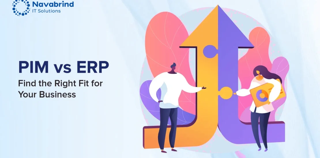 PIM vs ERP hero banner – find the right fit for your business, illustrated by two professionals connecting ERP and PIM systems