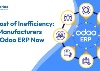 Odoo ERP cost inefficiency